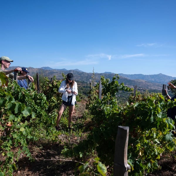 Cantina del Malandrino c/o Bagol'Area - Diego Bongiovanni