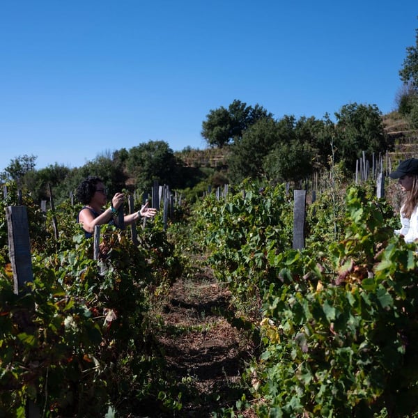 Cantina del Malandrino c/o Bagol'Area - Diego Bongiovanni