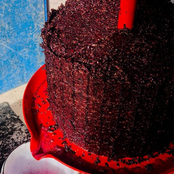 Ellie Bauwens & Imre Halász