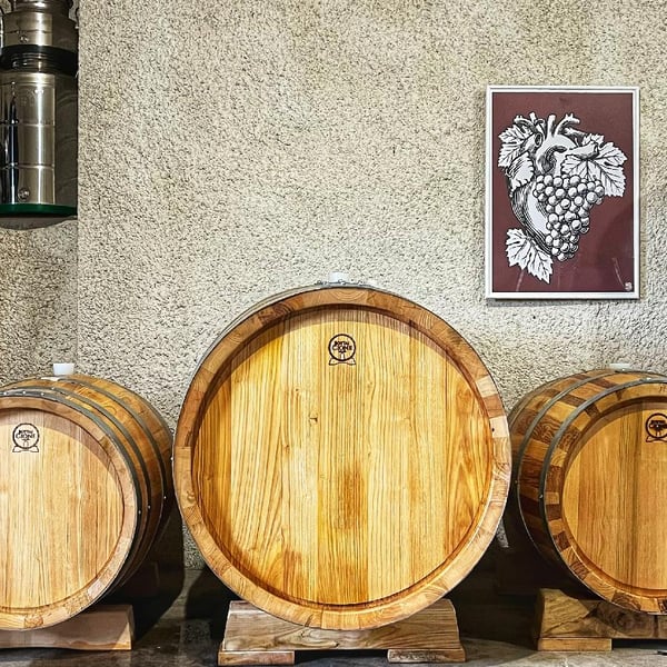 Emilio Fazio & Flaminia Schettini