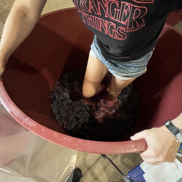 Emilio Fazio & Flaminia Schettini