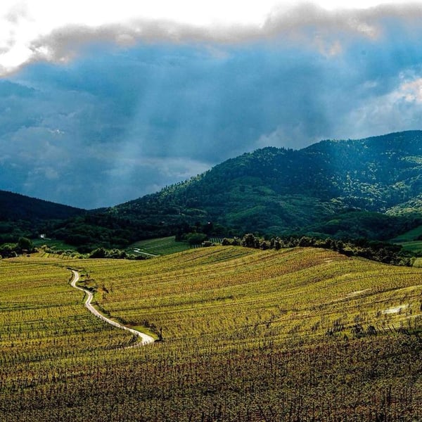 Domaine Exeterra - Florence Kachelhoffer