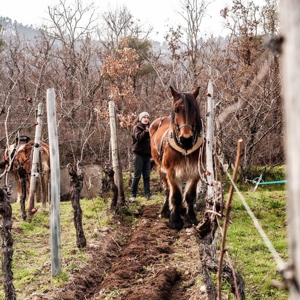 Domaine Exeterra - Florence Kachelhoffer