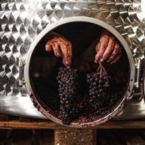 Domaine Exeterra - Florence Kachelhoffer