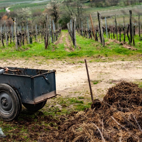 Domaine Exeterra - Florence Kachelhoffer