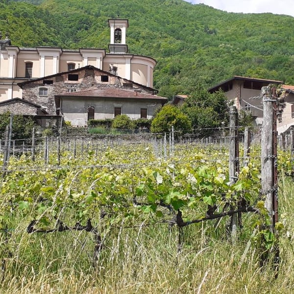 Fortunato Bressanelli