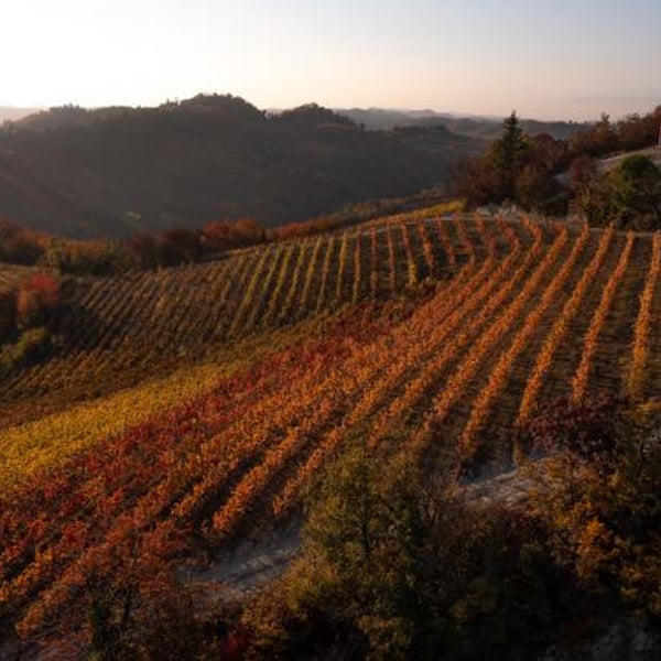 Gabriele Athos Calvo