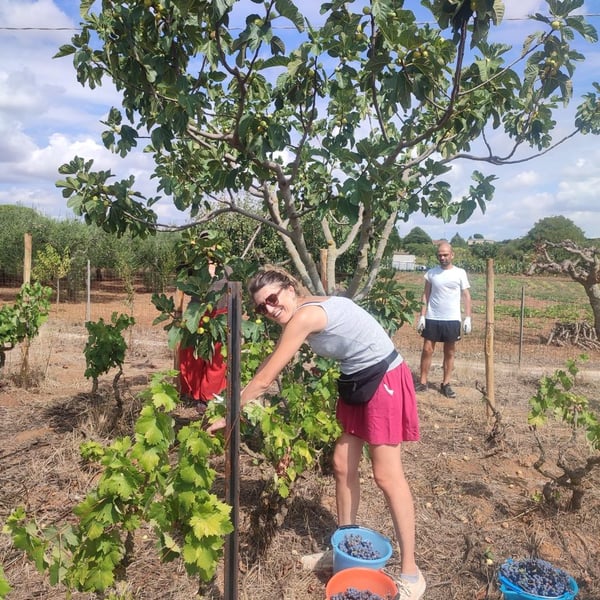 5e30 Vini da coltivare - Emanuela Conversano & Giovanni Pugliese