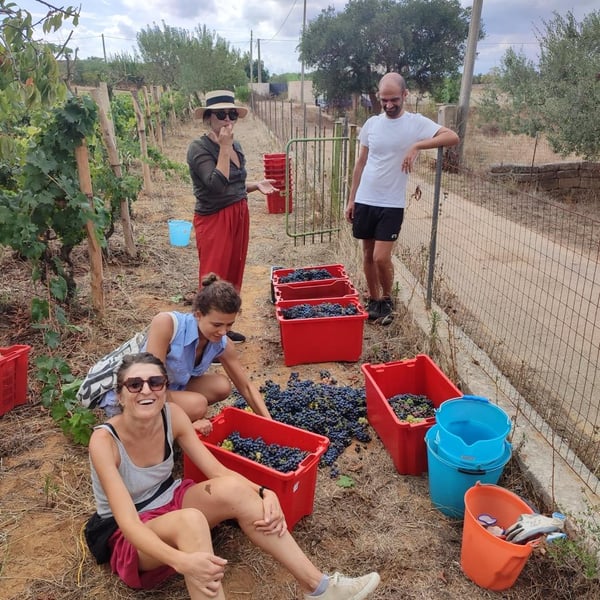 5e30 Vini da coltivare - Emanuela Conversano & Giovanni Pugliese