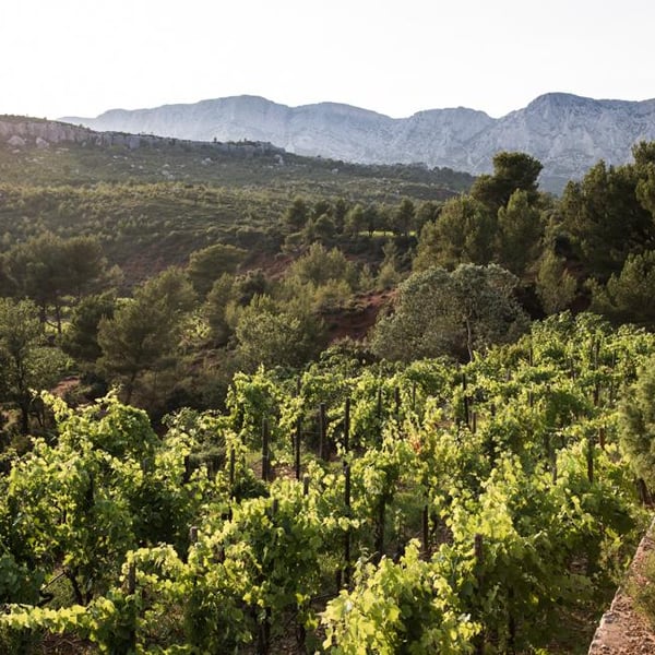 Henning et Sylvain Hoesch