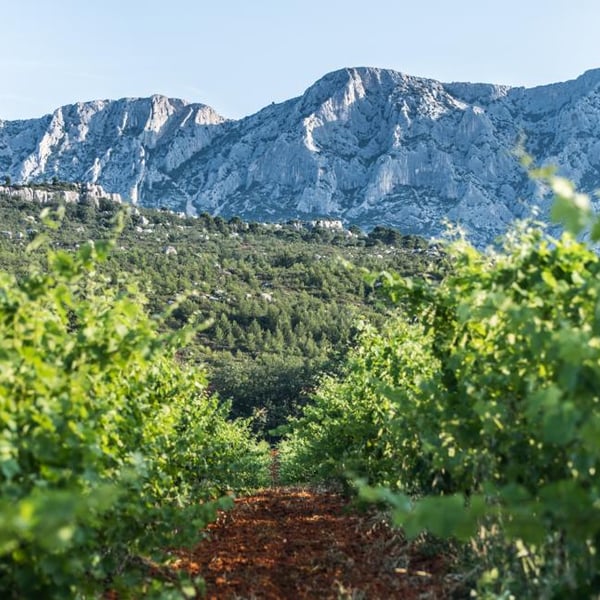 Henning et Sylvain Hoesch