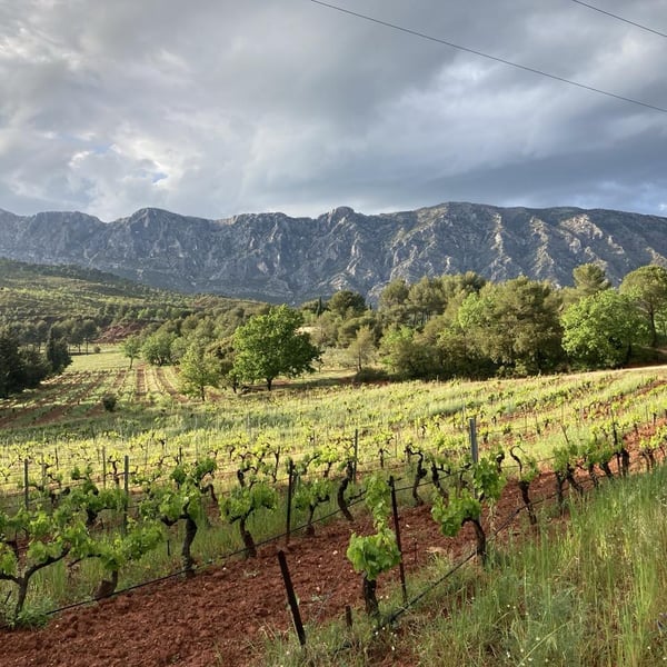 Henning et Sylvain Hoesch