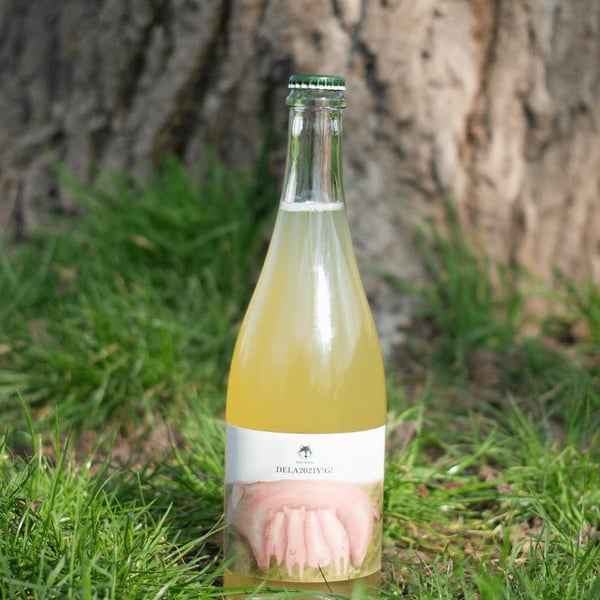 Ikka Wines - Ikka Wines