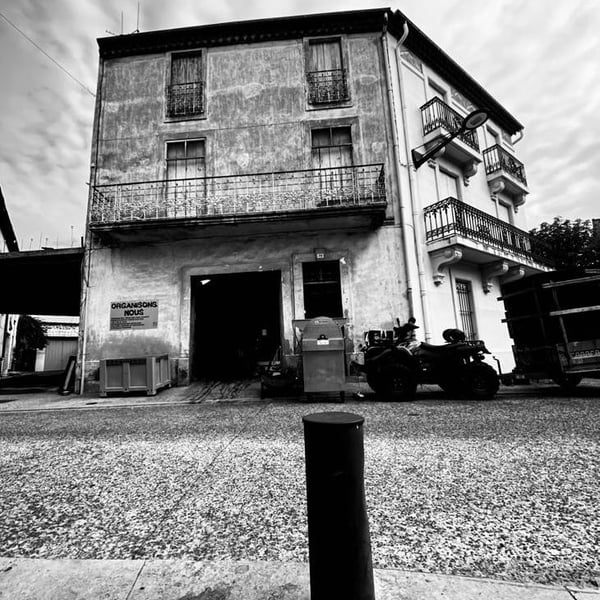 Organisons Nous - Iris Frauchiger & Vangelis Papaefthymiou