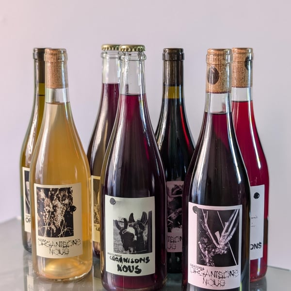 Organisons Nous - Iris Frauchiger & Vangelis Papaefthymiou