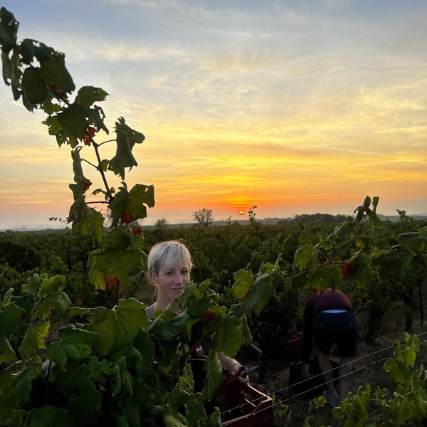 Iris Frauchiger & Vangelis Papaefthymiou