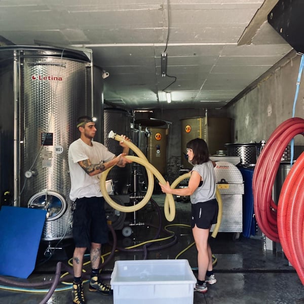 Organisons Nous - Iris Frauchiger & Vangelis Papaefthymiou