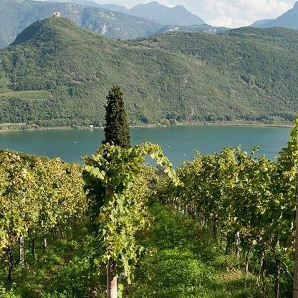 Tröpfltalhof - Andreas & Jakob Dichristin