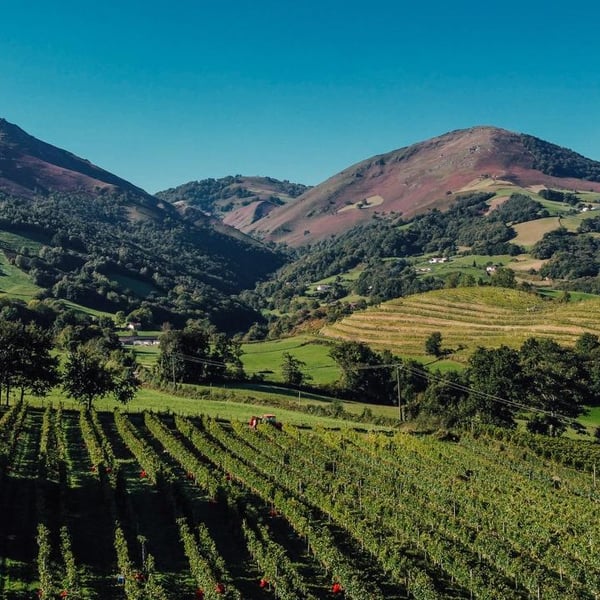 Joanes Haritschelhar