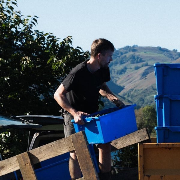 Joanes Haritschelhar