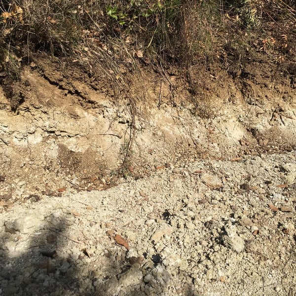 Chinado - João Tereso