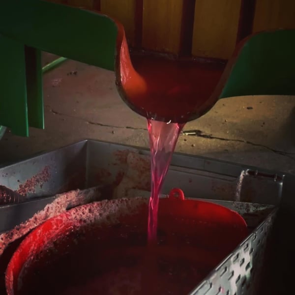 Chinado - João Tereso