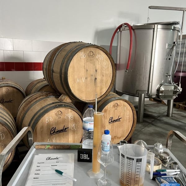 Chinado - João Tereso