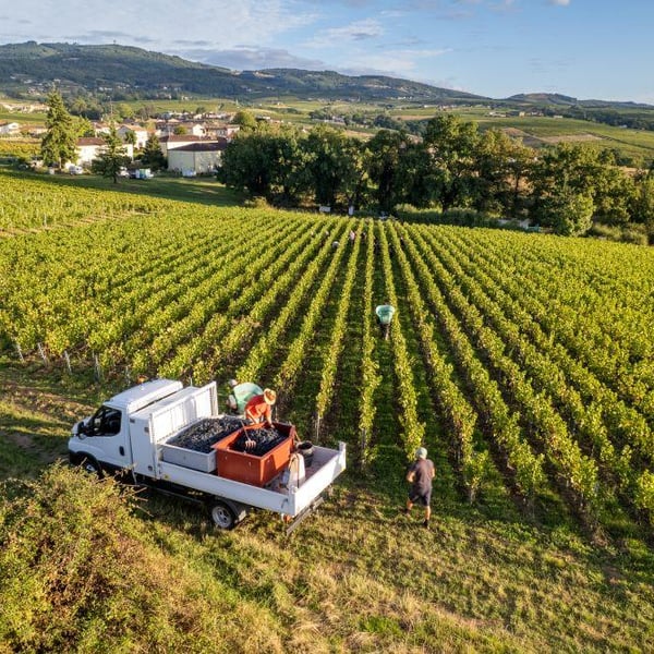 Julien Sunier - Julien Sunier