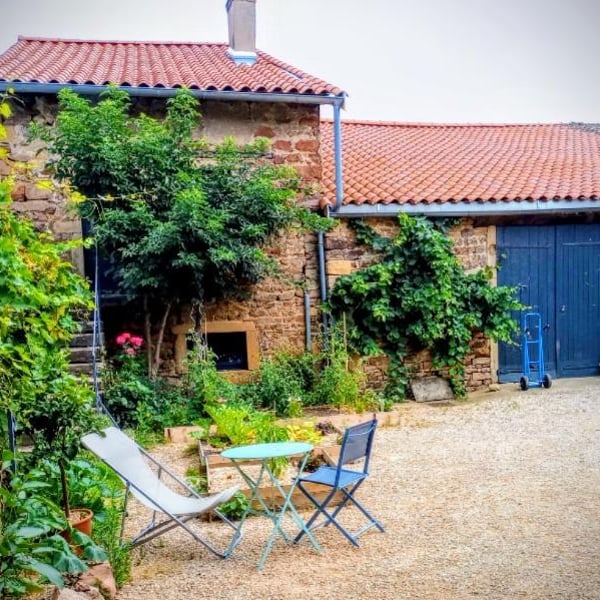 L'oiseau De Passage - Julien Frappa