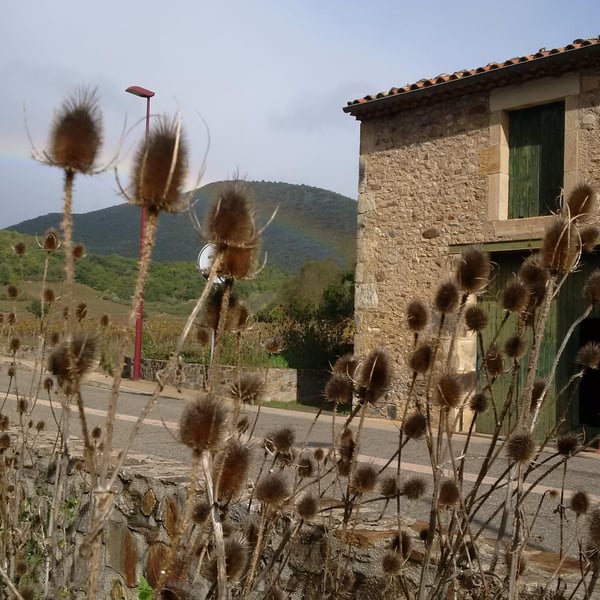Domaine de La Marotte - Julie Thelen & Xavier Auboux