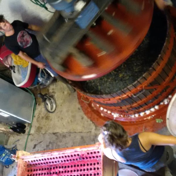 Domaine de La Marotte - Julie Thelen & Xavier Auboux