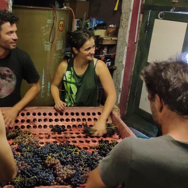 Domaine de La Marotte - Julie Thelen & Xavier Auboux