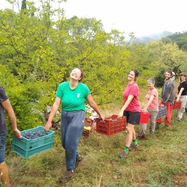 Julie Thelen & Xavier Auboux