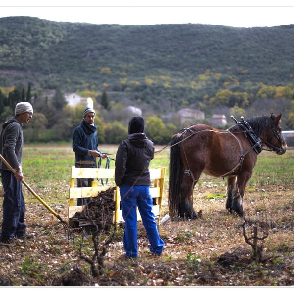 Julie Thelen & Xavier Auboux