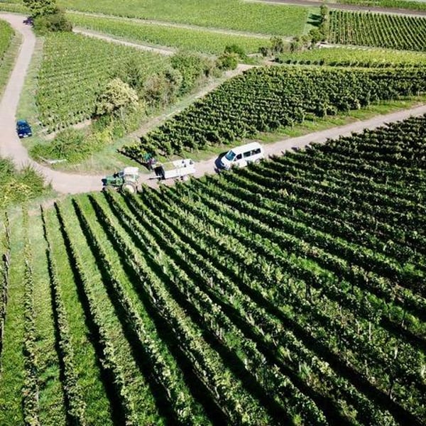 Kai Schätzel & Jule Eichblatt