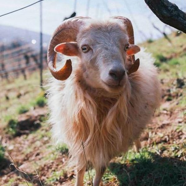 Kai Schätzel & Jule Eichblatt