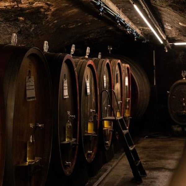 Kai Schätzel & Jule Eichblatt