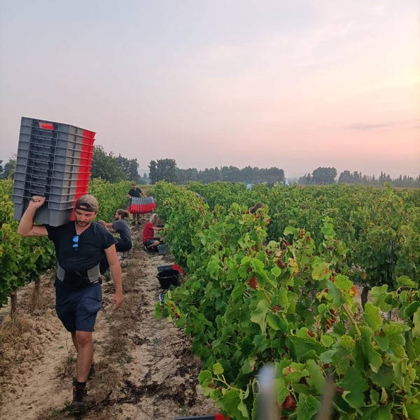 Lisa Cipolla & Mathieu Wild