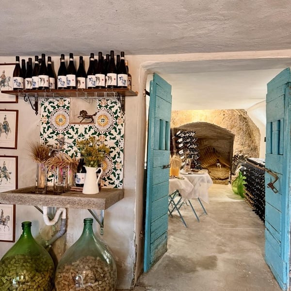 Donna Vittori - Borgo Agricolo - Maria Vittori