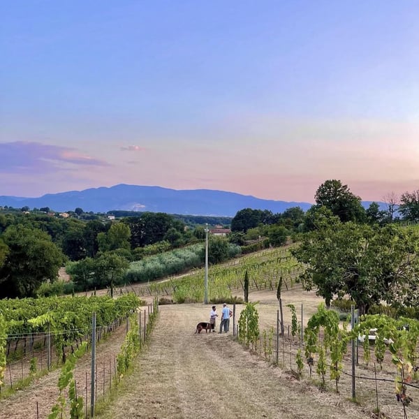 Donna Vittori - Borgo Agricolo - Maria Vittori