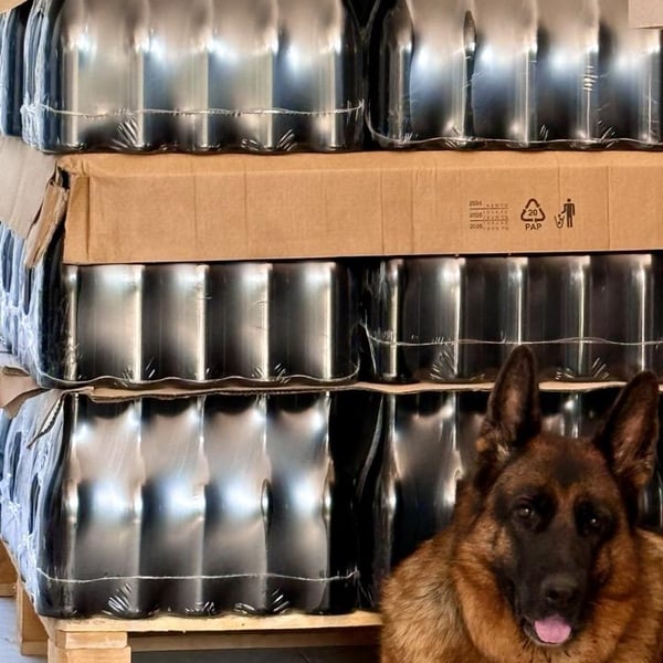 Donna Vittori - Borgo Agricolo - Maria Vittori