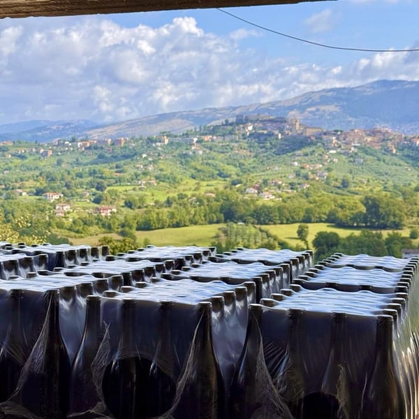 Donna Vittori - Borgo Agricolo - Maria Vittori