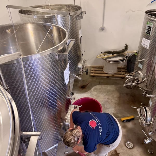 Donna Vittori - Borgo Agricolo - Maria Vittori