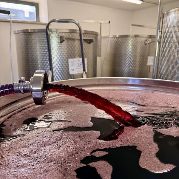 Donna Vittori - Borgo Agricolo - Maria Vittori