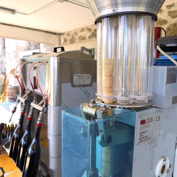 Donna Vittori - Borgo Agricolo - Maria Vittori