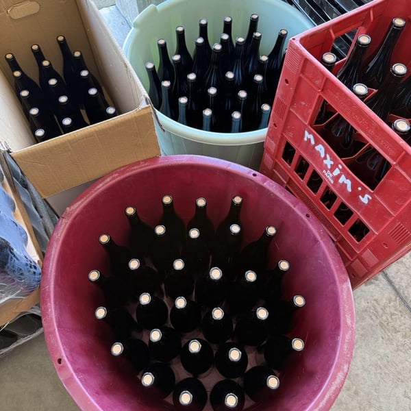 Donna Vittori - Borgo Agricolo - Maria Vittori