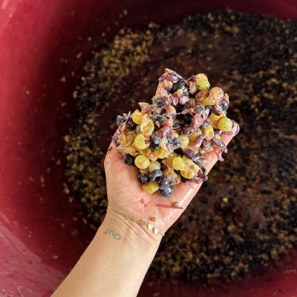 Donna Vittori - Borgo Agricolo - Maria Vittori