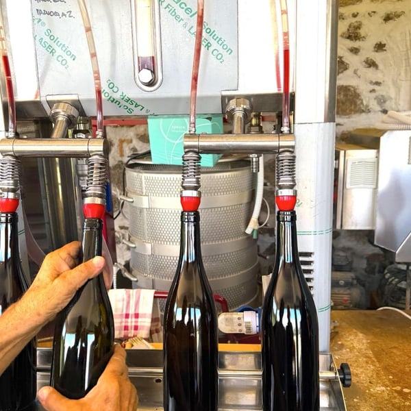 Donna Vittori - Borgo Agricolo - Maria Vittori