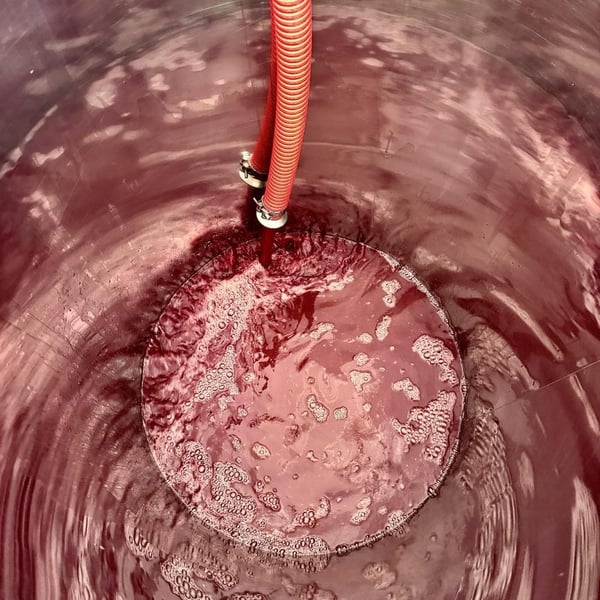 Donna Vittori - Borgo Agricolo - Maria Vittori