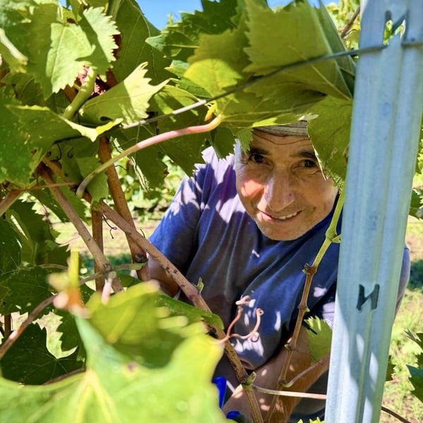 Donna Vittori - Borgo Agricolo - Maria Vittori